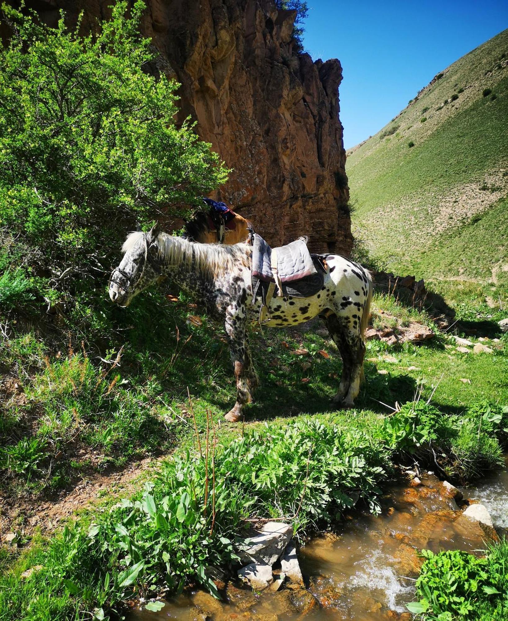 Guest House Bereke In Kyzart Village Bagysh Dış mekan fotoğraf